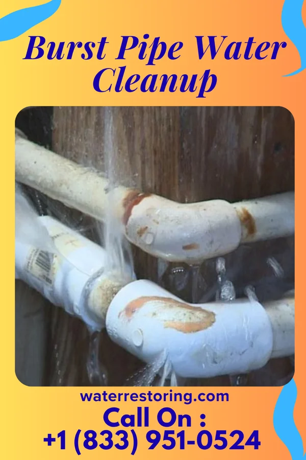 Burst Pipe Water Cleanup in Belvidere, IL