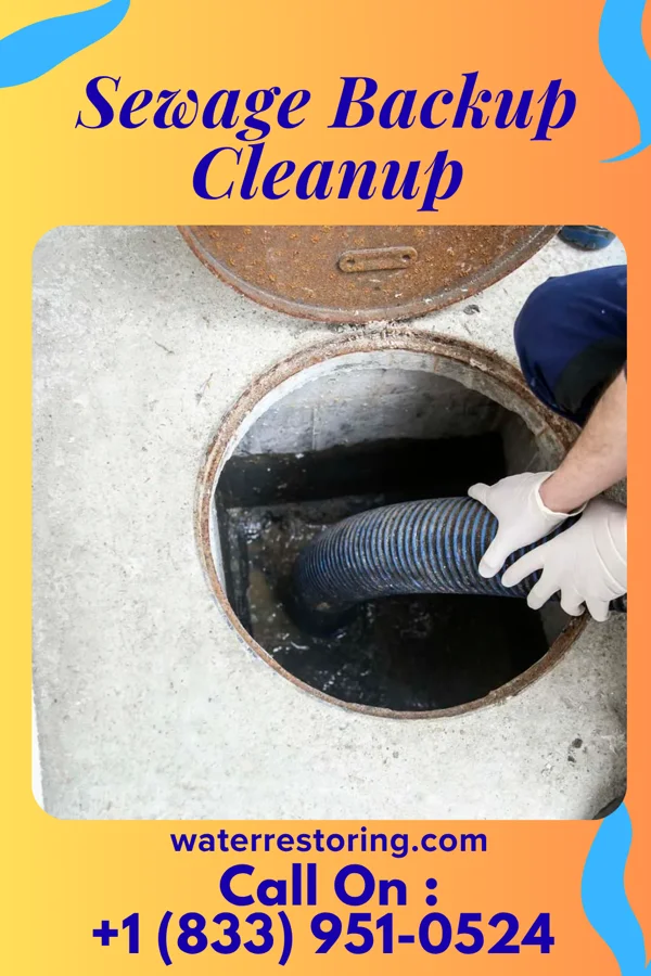Sewage Backup Cleanup in Belvidere, IL
